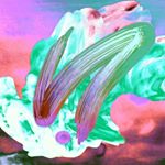 newmediaart composition