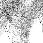 newmediaart blackandwhite