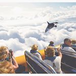 newmediaart seaworld