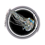 newmediaart bandcamp