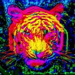 newmediaart digitalart