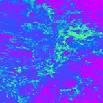 newmediaart netart